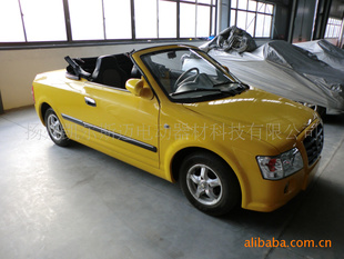 （EEC）扬州厂家直销2座电动敞篷小汽车2012