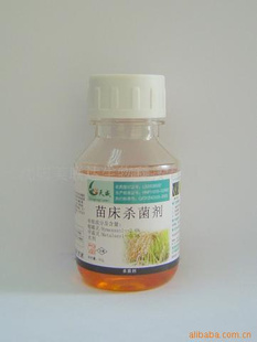 水稻苗床菌剂