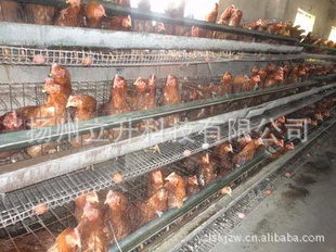 _扬州_立升_水处理设备_畜禽养殖用水处理设备_0.3T_