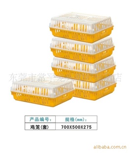 湖南省长沙市耐用的塑料鸡笼养鸡场塑胶鸡笼