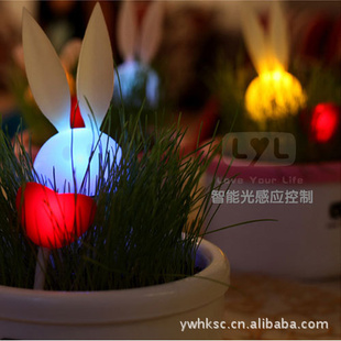 A01-04-03创意礼品绿化桌面月光兔小夜灯-男款|A690g