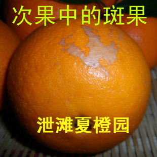 赣南脐橙次果夏橙应季新鲜水果甜橙子榨汁佳500g
