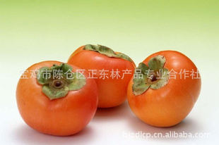 陕西秦岭山野生柿子！型好！味甜！
