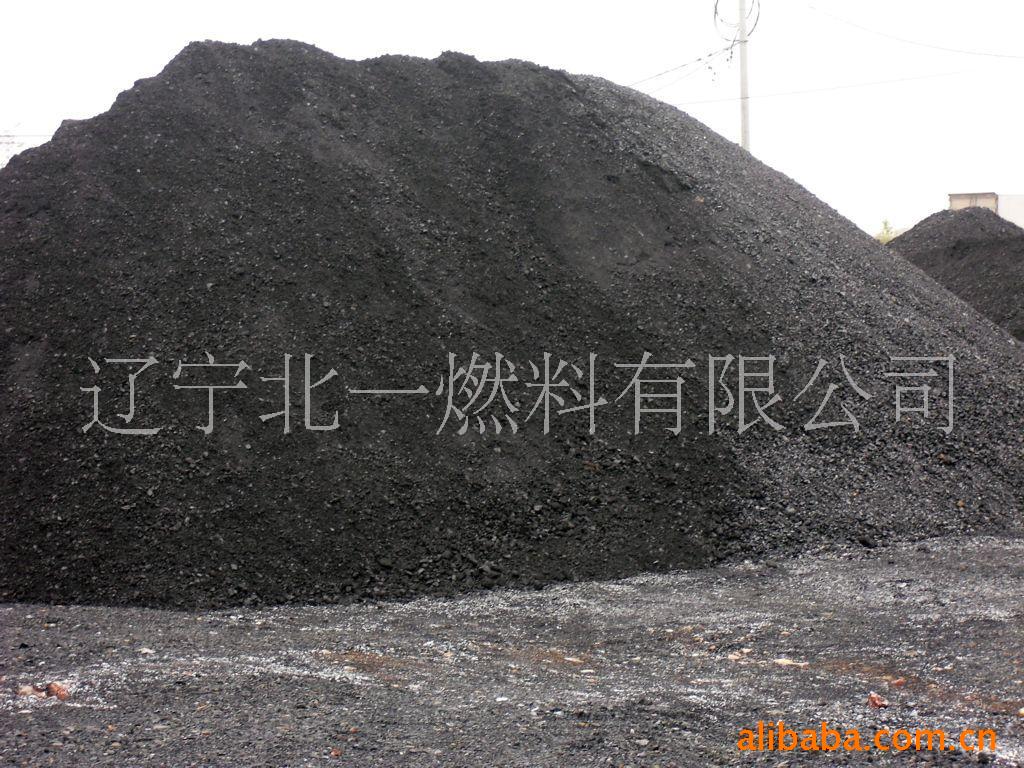 陕西煤炭(图)3