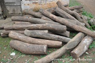 大量越南枧木
