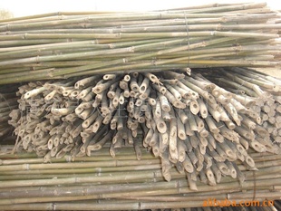 小3米菜架竹